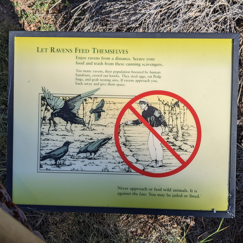 sign warning not to feed ravens at the grand canyon