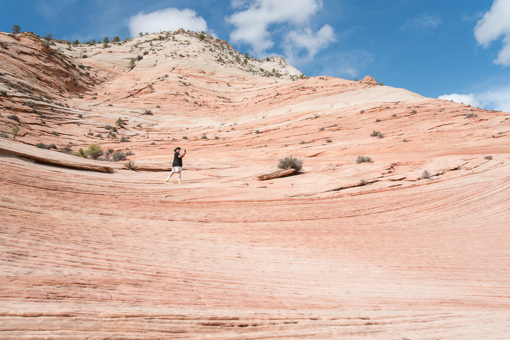 Zion National Park 
