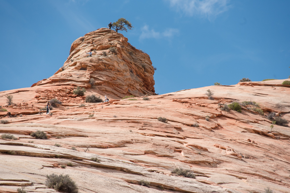 Zion National Park