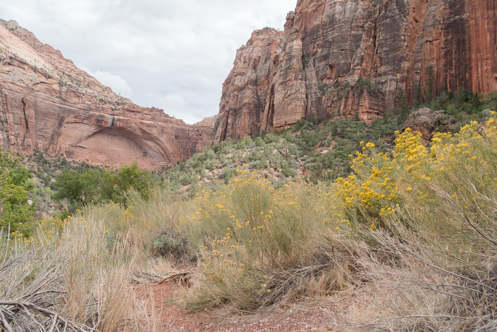 Rocks in Utah
