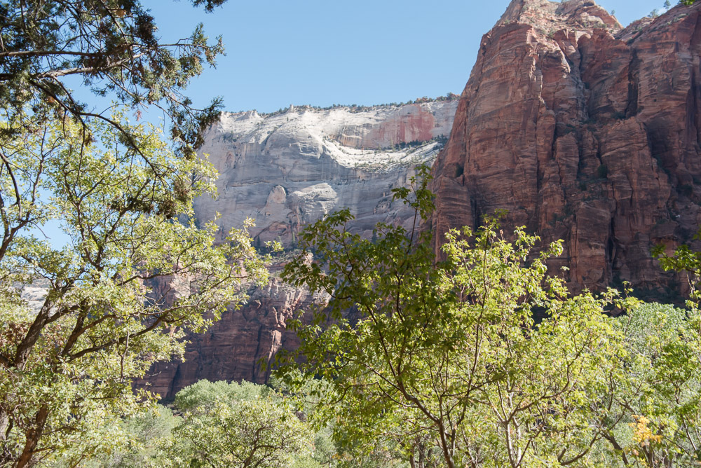 Zion National Park cliffs