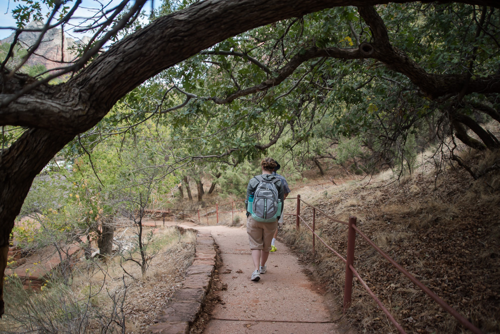 Zion National Park Walkway