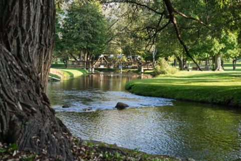 river running through park with bridge
