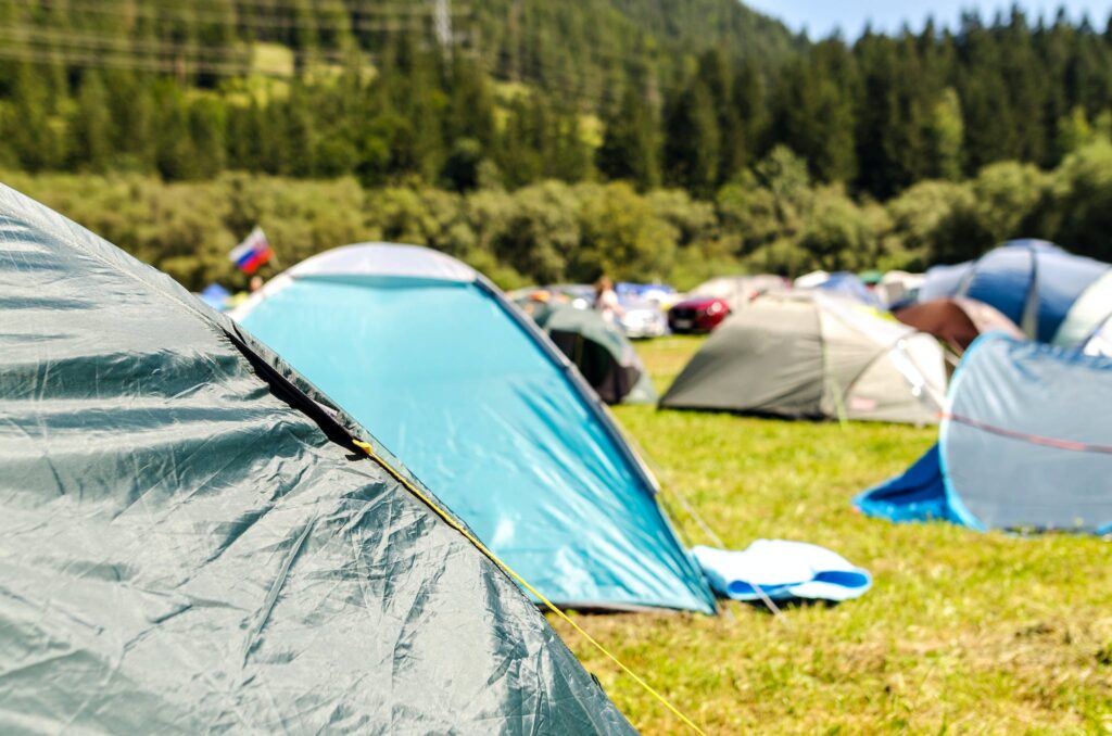 Tents Surrounded by Trees, graduation camping party ideas