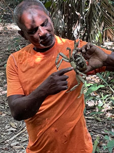 Our Guide pulled a crab out of a hole in the jungle floor