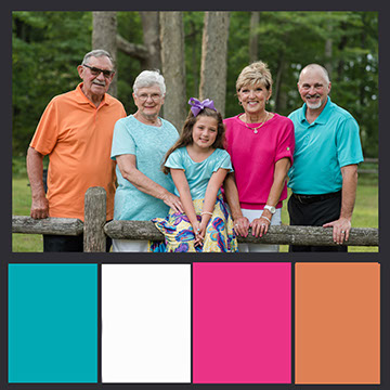 Coordinated Color Palette