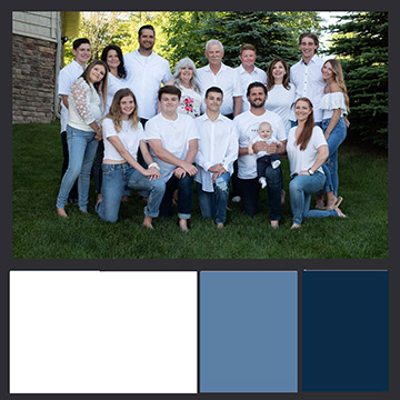 Coordinated Color Palette