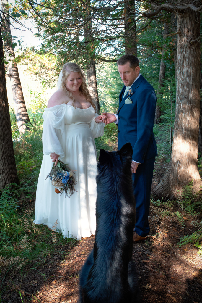 Bride and Groom looking down at their black german shephard dog, who is sitting in front of them with his ears perked up.